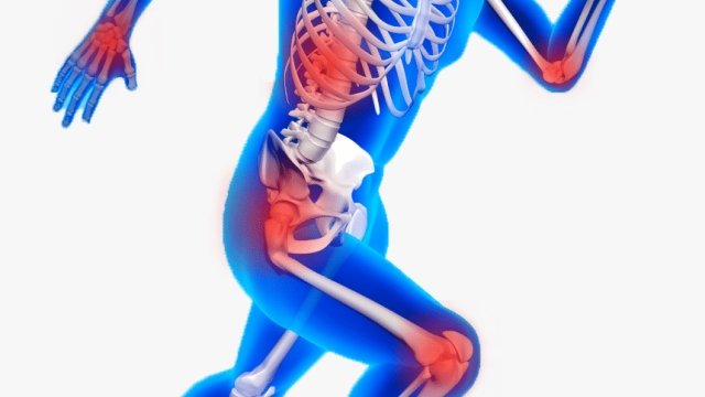 Breaking Down Bones: A Guide to Orthopedics