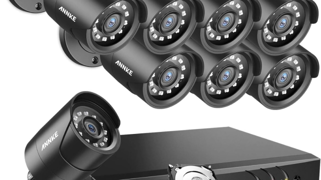 Peering Through the Lens: Unveiling the Impact of Security Cameras