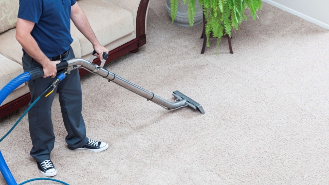The Ultimate Guide to Revitalizing Your Carpets: Tips and Tricks for a Deep Clean